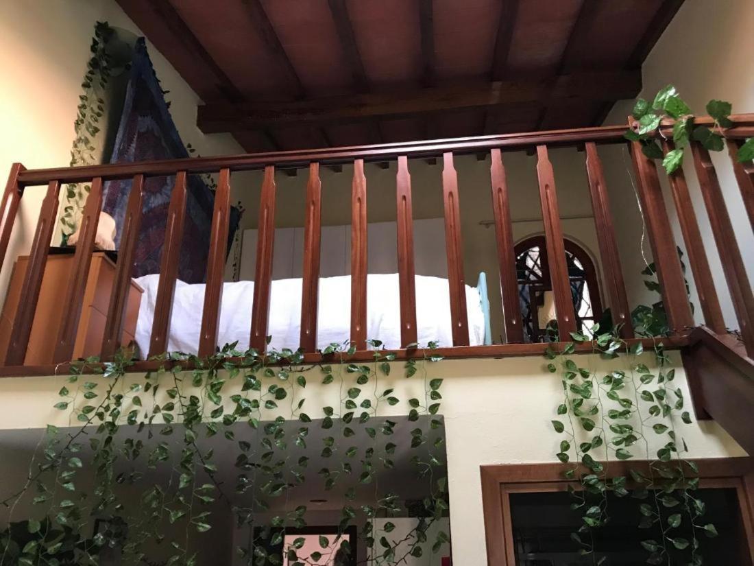 Suite & Loft Due Deliziosi Bilocali, Centralissimi, In Pietrasanta Exteriör bild
